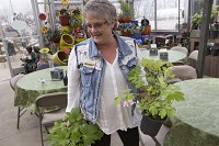 Jackie Weiss shows some of the spring plants that Linton's Enchanted Garden has in stock in Elkhart. Staff photo by Sam Householder