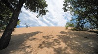 The beach at Mount Baldy will re-open soon, but more study is needed before the public can explore the dune. (Kyle Telechan / Post-Tribune)