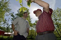 Jerry Lehman, right, shares what has worked and what hasn't with growing pawpaws and persimmons with Pete Bastule of Upland Brewing on Tuesday at Lehman's farm. Staff photo by Joseph C. Garza