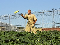 Inmate Mark Taylor tosses a cucumber to another inmte on Friday morning at the Wabash Valley Correctional Facility. Staff photo by Austen Leake
