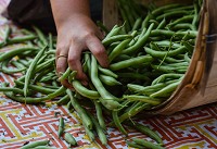 Gracie Speigelhalder, a hired helper, grabs a handful of freshly picked blue lake green beans to weigh out for a customer at the Sellersburg Farmer's Market. Staff file photo by Tyler Stewart