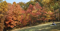 Fall colors are on display in Brown County State Park near Nashville in this photo from October 2010. Staff photo by Chris Howell | Herald-Times