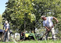 GET GROWING: Lebanon Parks Department employees Mike Redman (left) and Harold Folden work to put in a tulip poplar tree next to the Memorial Park gazebo on Thursday. Staff photo by Jake Thompson