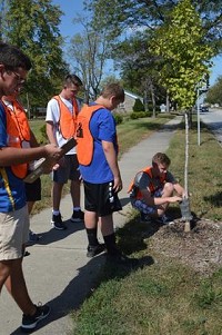 Greenfield Central High School Rover Team students planted several trees in Beckenholdt Park in November 2017. Submitted photo
