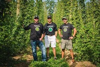 Pictured from left, Josh Martin, Todd Kaminski and Ryan Hammer, owners of Crazy Horse Hops farm. Submitted photo