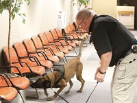 Tippecanoe County Community Corrections Officer Jim Knogge and his dog, Vasco, practice finding narcotics in this file photo. During 2017, Vasco searched the community corrections facility and its parking lot 26 times, uncovering various narcotics, drugs and paraphernalia, Community Corrections Director Jason Huber said. Staff photo by Ron Wilkins