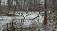A 30-foot-wide levee breach on the south side of the Kankakee River in Jasper County is as much as 8 feet deep in spots and is allowing water to pour into a residential neighborhood at a fast rate, according to officials. The levee reportedly breached on Friday, Feb. 23. Photo by Carrie Napoleon