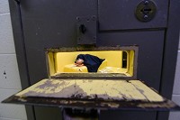 An inmate sleeps on his bunk at the Hancock County Jail on Tuesday, March 20, 2018. Staff photo by Tom Russo