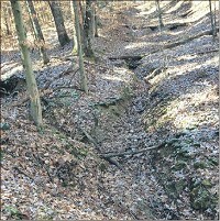This area of the Hoosier National Forest is one of the &ldquo;roads&rdquo; that is part of a decommissioning project. U.S. Forest Service photo