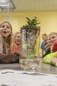 One of the completed pop bottle terraniums, complete with goldfish and flowers and children's happy faces. Staff photo by Fran Ruchalski