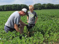 On the farm: Rob Geiger and his son Brooks recently look over soybeans growing in a field on his farm south of Benton in Elkhart County. Staff photo by Roger Schneider