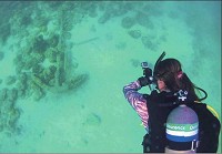 ABOVE: IU researcher Matthew Maus takes top-down photos of the San Pedro Underwater Archaeological Preserve shipwreck site in 2015 for the creation of a 3-D photogrammetric model. The site is where the San Pedro, a ship in a Spanish fleet, sank during a July 13, 1733, hurricane. Photo courtesy IU Center for Underwater Science
