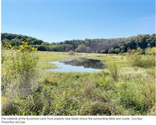 Sycamore Land Trust preserves a wetland while adding educational center in Indiana