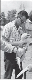 Donald Wentzel, left, founder of Maple Leaf Farms, inspects a duck in the 1960s.
Photo provided by Maple Leaf Farms