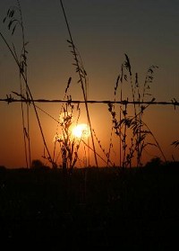 A summer sun sets over an Elkhart County field this week. What time that sun sets here next summer has been a point of lively debate. Ashley Wilkerson / The Truth