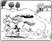 Dee Bonner, Shelbyville News