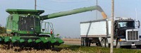 Mark Rosene moves shelled corn into a truck along Woodburn Road, east of Woodburn, Wednesday. Rain has delayed the harvest of corn and soybeans in this area. 
Dean Musser Jr./The Journal Gazette