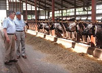 Purdue University professors Chris Hurt, left, and Lee Schrader tour Gingerich Dairy Farms in Milford. Photo by Cathie Rowand/The Journal Gazette