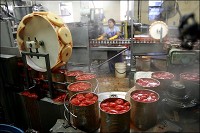 IN A CAN: Tomatoes are sorted and packaged at the canning factory.&nbsp;KT photo by Tim Bath