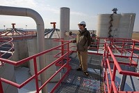 Iroquois Bio-Energy General Manager Keith Gibson looks over giant holding bins last week at the Rensselaer plant. Although the plant is running at capacity, car dealership and ethanol industry officials say the demand for flex-fuel vehicles is down, largely because the cost of gasoline has fallen. JON L. HENDRICKS | THE TIMES