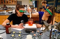 Jillian Cawthon, on left, from Hobart and her lab partner Christina Avgerinas, from Munster, work Wednesday on a lab problem while at Purdue University Calumet. Cawthon is a returning student back to school after living three years in Washington D.C. with her husband in the military. TONY V. MARTIN | THE TIMES