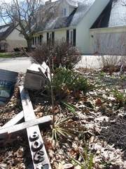 The house at 4309 W. Nightingale Way, on Muncie&rsquo;s west side, is one of many local properties that have been foreclosed on. The mailbox for the house has been knocked down. (Keith Roysdon / The Star Press)