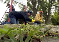 Neighborhood residents (from right) Sarah Taylor, Elaine Motley and Mary Hampton chat as they pull weeds and sweep at the corner of 21st Avenue and Wisconsin in front of an abandoned house at the entrance to the Marshalltown Terrace area of Gary, Tuesday August 30, 2011. After pulling the weeds, they also put down mulch, supplied by fellow resident Anthony Williams, and added planters they painted red. | Stephanie Dowell~Sun-Times Media