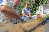 BEDFORD &mdash; Ritch Musselman watches Wednesday as Dave Redman cuts open a stalk of his corn for nitrate testing behind the Purdue Cooperative Extension Office on 16th Street. (Times-Mail photos / RICH JANZARUK)