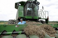 G.A. Ward, a family friend of the Smiths and a volunteer for the family-owned farm, cleans debris off the combine after harvesting in Boonville, Ind., on Thursday. Ward said he has "noticed a decrease in yield" from previous year averages. Photo by Samantha Owens