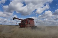 Soy bean trash and dust surround the International Harvester combine of Greg Oberts as he harvests the beans on his Gibson County farm in 2008. Staff file photo by Denny Simmons