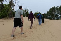 People participate in a guided tour of Mount Baldy on Friday.. Indiana Dunes National Lakeshore offered the first public tour at the site since a 6-year-old boy was swallowed by hole at Mount Baldy in July 2013. Staff photo by Matthew Stefanski