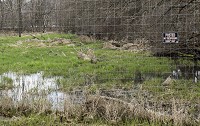 A "No Trespassing" sign can be seen on a high fence surrounding Backwoods Preserve Whitetails, a hunting preserve on Road 4B in Marshall County, between Plymouth and Walkerton. Tribune Photo/ROBERT FRANKLIN