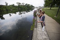 Bryce Vanasiewicz reels in a fish with his fianc&eacute; Shantell Plummer at Howard Park, Thursday, June 28, 2016. Staff photo by Michel Caterina