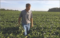 Let&rsquo;s get back to trading:&nbsp;Farmer Brad Burbrink on July 14 looks over soybeans in one of the fields he farms off East Dallas Drive. Burbrink said most of the soybeans that are bought by China are used to feed livestock in that country and hopes he and all farmers can get back to trading. Staff file photo by Joseph C. Garza