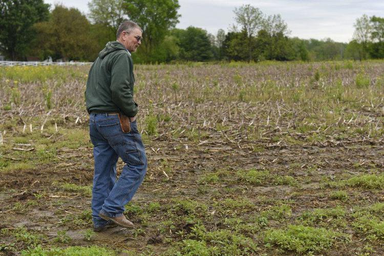 Farmer Bob Nunemaker walks through muddy fields on his property Tuesday afternoon along C.R. 40 near Goshen. Steady rain through April and May has kept him from planting corn and soybeans on his 1,200 acres of farmland. "This field is one of the first or second fields we plant," he said. "We had this planted by the 26th or 27th of April last year," Nunemaker said. Staff photo by Ben Mikesell