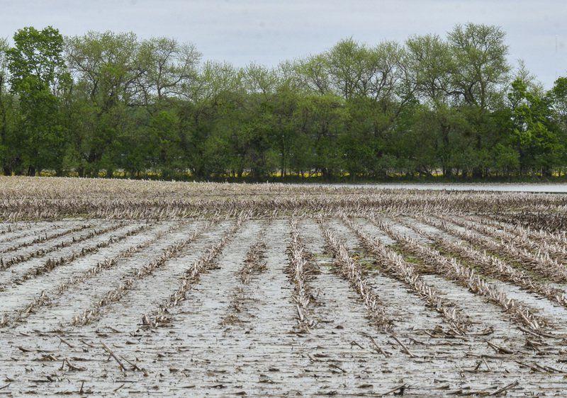 Drenched: Wet conditions in the Wabash Valley have delayed some farmer’s planting plans.  Tribune-Star/Austen Leake