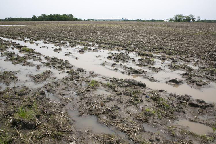 Uncommon cold followed by uncommon rain in May has resulted in a lot of unplanted fields in southern St. Joseph County and throughout much of the Midwest. 
Tribune Photo/SANTIAGO FLORES