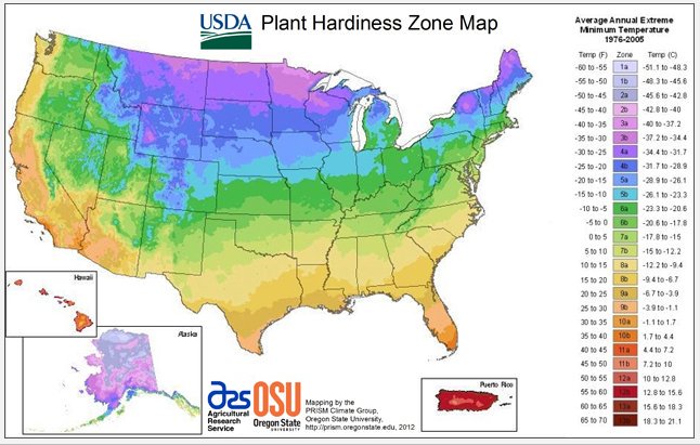 Find out what zone you live in to help you choose plants that are most likely to thrive, check out the Plant Hardiness Zone Map http://ow.ly/CxTV30jSlFk 