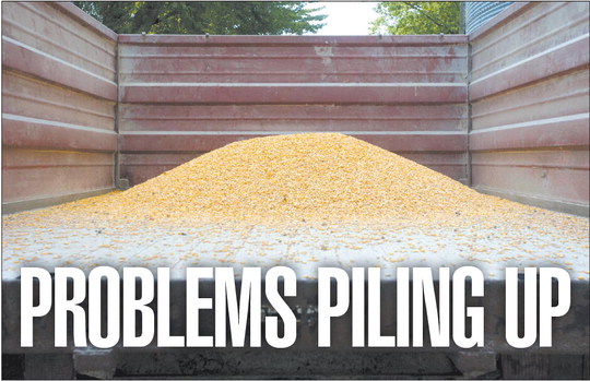 Mike Herd takes steps to create a hygienic environment for grain stored at Walton Elevator Co. He says it’s key to preventing pests from sneaking into their stored grain. 
Tony Walters | Pharos-Tribune