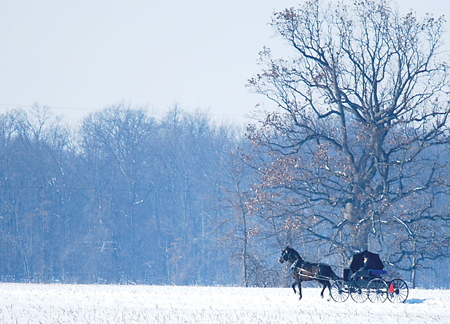 LIVE LONG AND PROSPER - A mutated gene found only in an extended family of Old Older Amish living in Berne may have anti-aging benefits, as well as aid in the treatment of male pattern baldness and Alzheimer's. Decatur Daily Democrat file photo