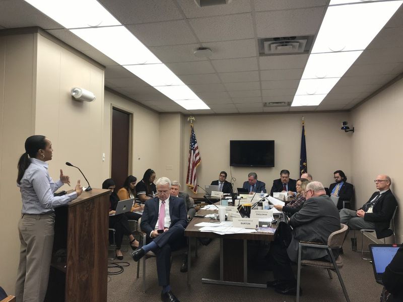 State Rep. Ragen Hatcher, D-Gary, addressed the House Committee on Judiciary Jan. 13, 2020 to oppose a proposed Lake Michigan shore bill. (Alexandra Kukulka / Post-Tribune)