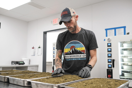 Wes Holcomb of NXT Labs prepares dried hemp (hemp biomass) to be heated and processed into crude hemp oil on its way to distillation as CBD oil. (IBJ photos/Eric Learned)