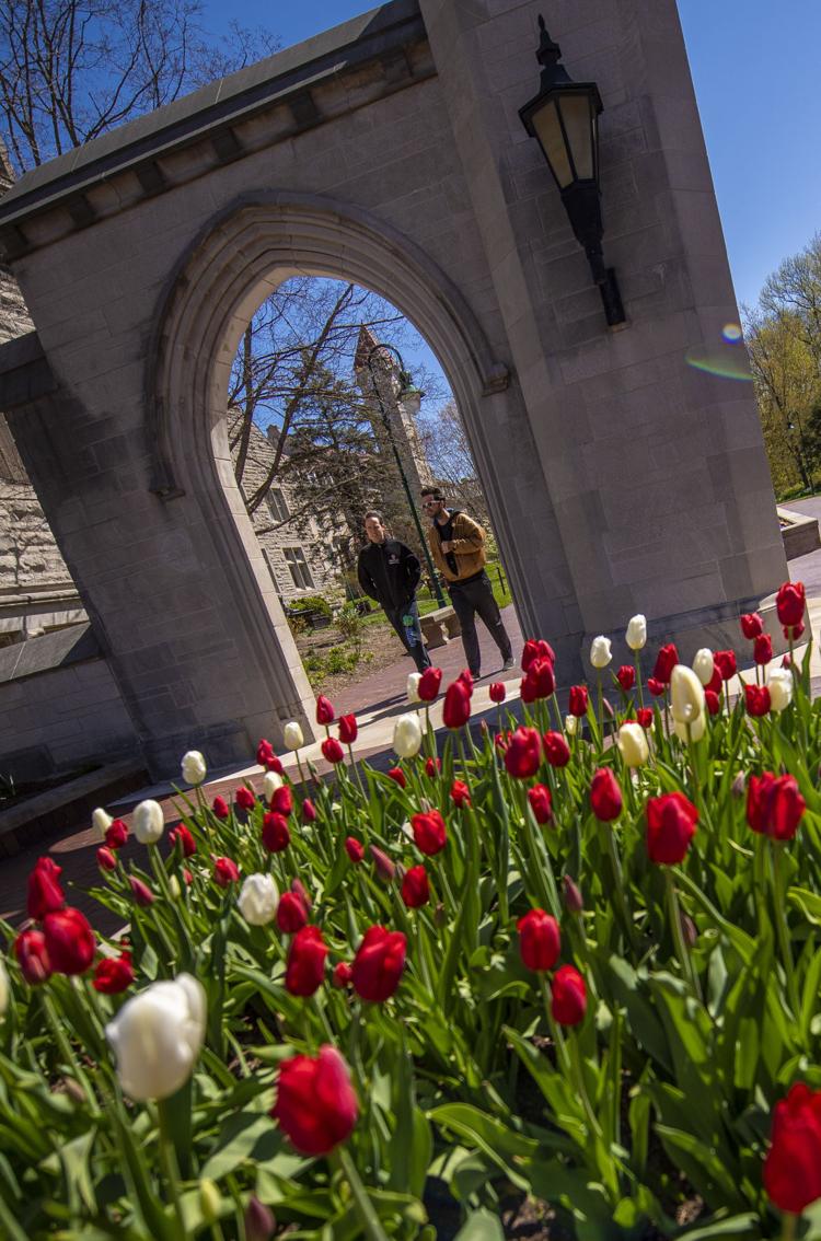 People head through the Sample Gate at Indiana University Tuesday with tulips in bloom. (Rich Janzaruk / Herald-Times)