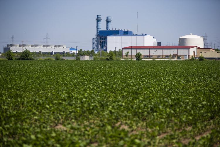 Crops grown near an industrial facility in July near New Carlisle. South Bend 
Tribune Photo/MICHAEL CATERINA