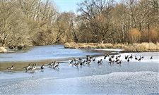 Tempering expectations: Indiana lawmakers, environmental advocates hope for progress on wetland management, more