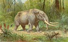 The mastodon may become Indiana's official state fossil under House Bill 1013