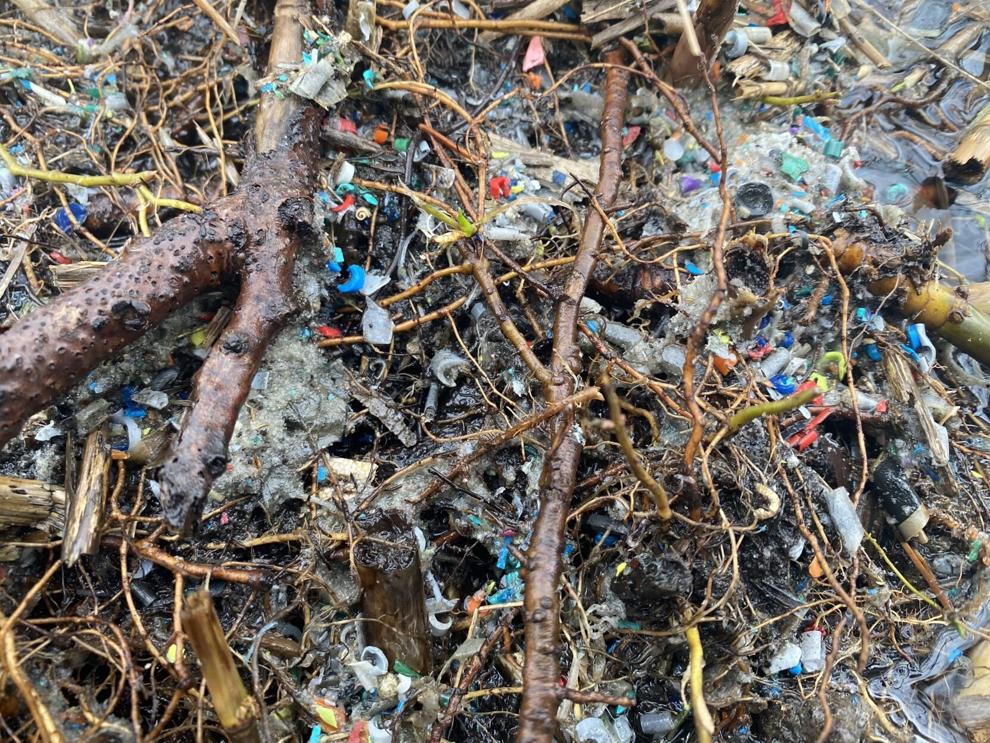 Plastic pellets found in a wetland area connected to a PolyJohn stormwater discharge line on March 23, 2022. The port-a-potty manufacturer has since submitted a cleanup plan. Molly DeVore, file, The Times