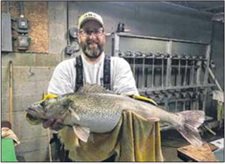 Fry by the millions: Martinsville fish hatchery keeps Indiana waters filled with walleye