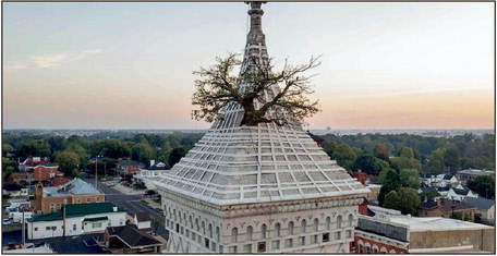 Hoosier icon: The historic “Tower Tree” atop the Decatur County Courthouse in Greensburg is the most recent of a series of trees that have grown in the building’s apex since the early 1870s. Courtesy VisitGreensburg.com
