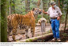The crazy cat man: Joe Taft devotes life to saving big cats at Exotic Feline Rescue Center in Clay County